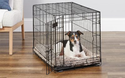 The Benefits Of Crate Training Your Dog