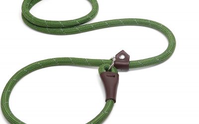 The Benefits of Using a Slip Leash for Dog Training and Walking