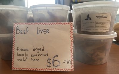 Unleashing the Benefits of Freeze-Dried Beef Liver Dog Treats