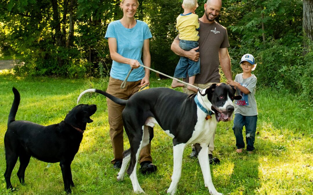 What Anastasia’s Acres Dog Boarding Is- and Is Not