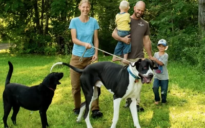 What Anastasia’s Acres Dog Boarding Is- and Is Not